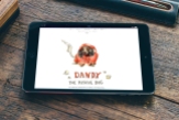 Dandy The Rescue Dog, website design by Cristina Schek